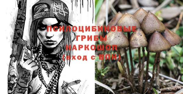 дмт Белокуриха