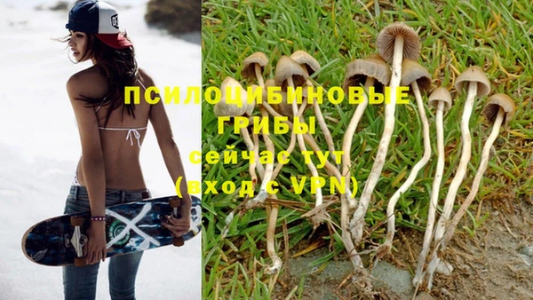 бошки Балахна